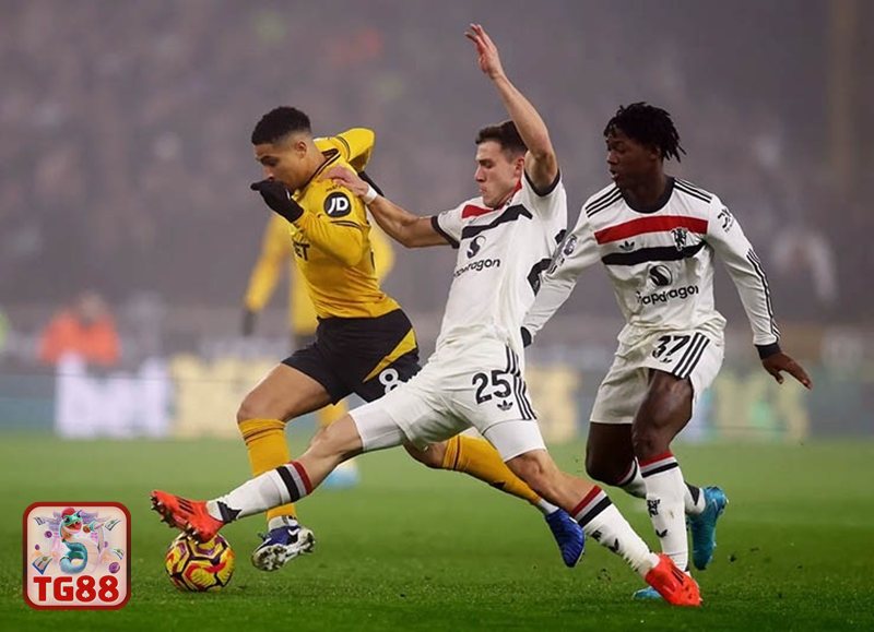 Thể thao TG88 - Trang trận đấu trực quan, tập trung vào điều cần biết Thể thao TG88 - Trang trận đấu trực quan, tập trung vào điều cần biết